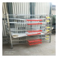 高品质供货梯状鹌鹑养殖蛋鸡笼