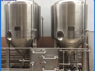 自酿啤酒机器设备 储酒发酵设备 葡