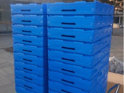 吉林通化兴隆瑞ZDX-25折叠塑料箱筐
