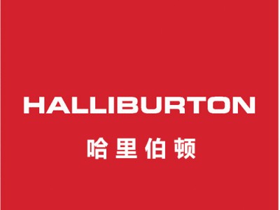 HALLIBURTON液压马达驱动器-HS-223R
