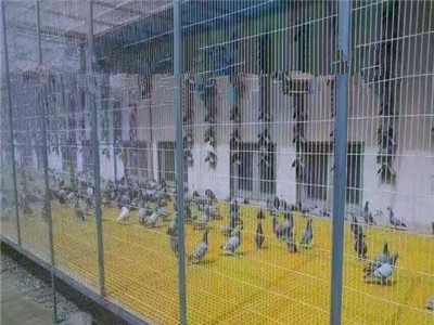 河南省玻璃钢防腐养殖厂格珊 生产厂