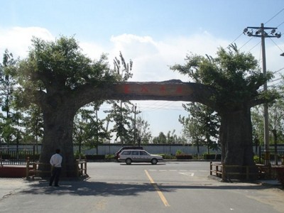 阳泉郊区生态园假树 