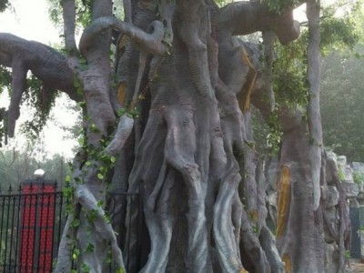 哈尔滨道里区景区假树