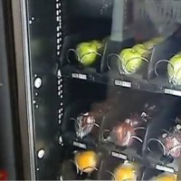 自动水果售卖机