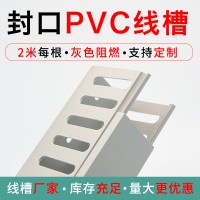 pvc走线槽 30*30pvc线槽 生产厂家 稳不落