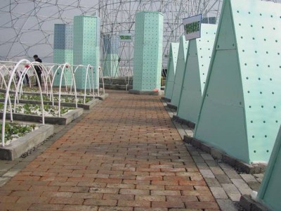 北京鸟巢温室大棚基本