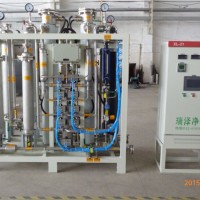 瑞泽RZ-AYC大流量高纯度氨气干燥纯化装置