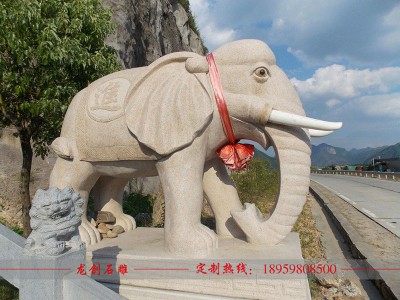 那里有石雕大象卖 花