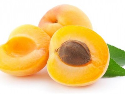 以色列柑橘进口代理报