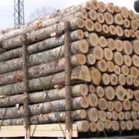 深圳想进口木头需要什么资质