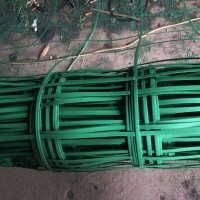 安平拓林绿色植物攀爬网爬藤网山体挂网钢塑土工格栅
