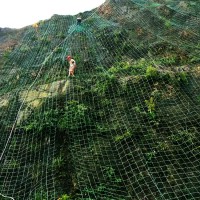 鑫盛攀爬网爬藤网山体护坡绿色钢塑土工格栅