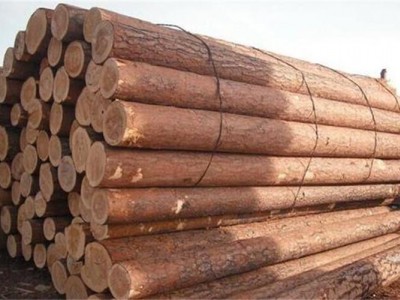 进口木材需要缴纳多少税