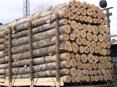 蛇口木材进口报关时效和费用
