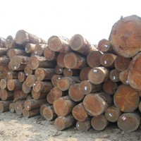 盐田保税区进口原木木材报关详细流程