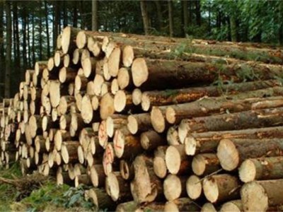木材一般贸易进口蛇口报关程序