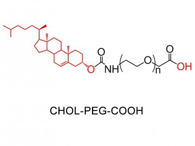 胆固醇CLS-PEG-NH2胆固醇PEG氨基试