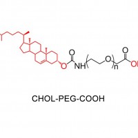 胆固醇CLS-PEG-NH2胆固醇PEG氨基试剂1g
