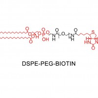 DSPE-PEG-FITC二硬脂酰乙醇胺PEG荧光素试剂