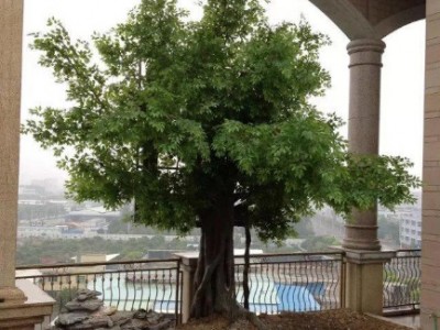 潞城生态园假树安装_