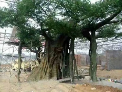 潞城生态观光园假树价