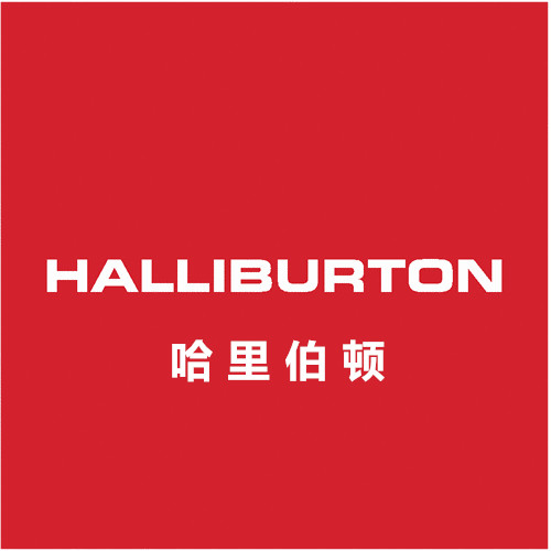 HALLIBURTON液压齿轮泵GD-N-EL-P-FS原装