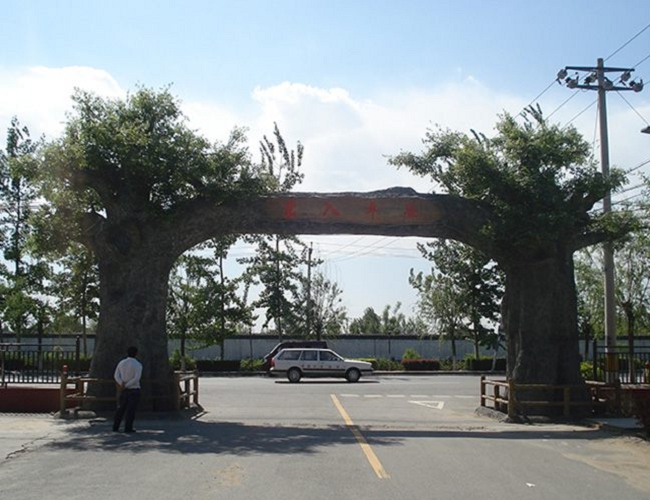 大连长海县生态园假树 生态园假树设计 大连长海县假树假山